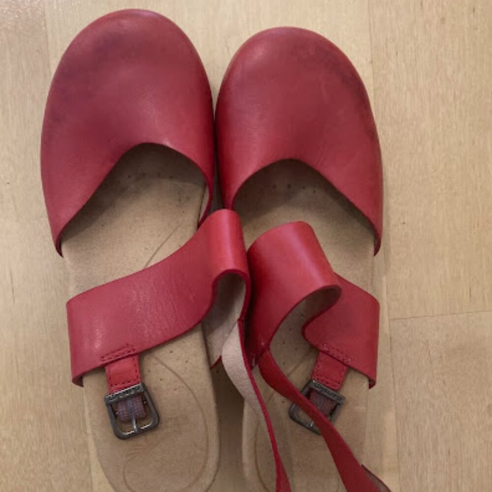 Dansko Mary Jane Clogs